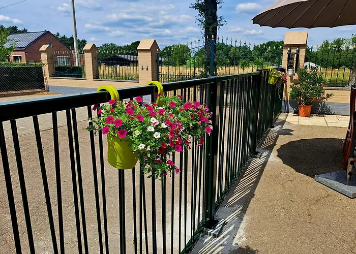 King of Gold Stables appartement met stalling voor 5 paarden