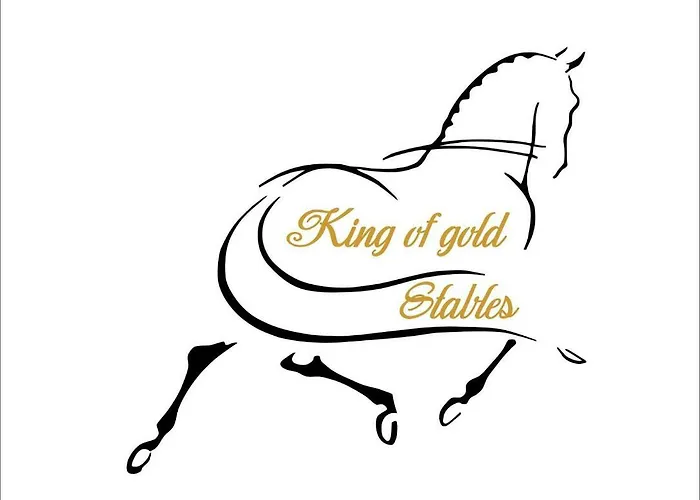 King of Gold Stables appartement met stalling voor 5 paarden
